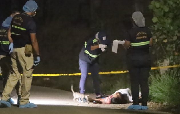 La presencia policial disminuye la actividad delictiva, no la frena. 