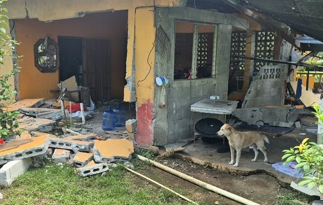 Las casas en el interior quedaron heridas, advierte el ingeniero Penna Franco Las casas en el interior quedaron heridas, advierte el ingeniero Penna Franco