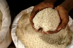Molineros alertan sobre contrabando de arroz procedente de Costa Rica y Cristóbal