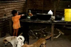 Desnutrición infantil en zonas urbanas: Un peligro invisible para la niñez en Panamá