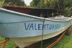 Cae sospechoso con $10 mil en motores fuera de borda hurtados en Mariato
