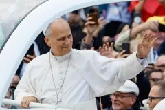El papa retoma las audiencias y se vuelve a subir al papamóvil tras su operación