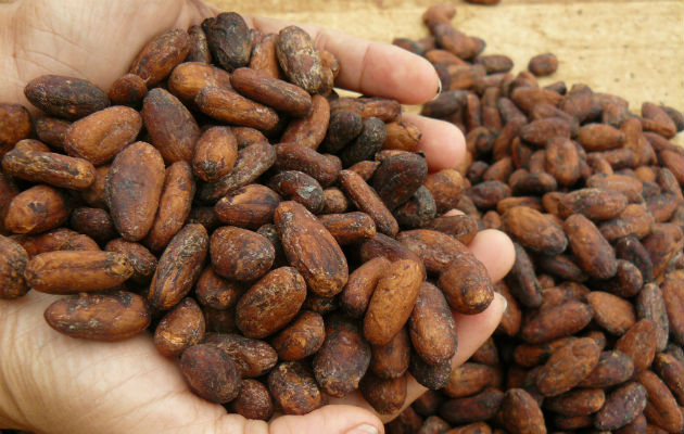 Se presentaron más de 270 muestras de chocolate de diferentes fábricas.