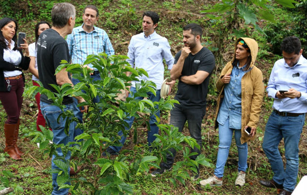 A parte  del Circuito del Café, hay otros sitios de interés como el Volcán Barú, el Sendero Los Quetzales, Boca Chica.