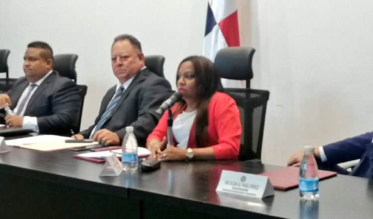 El proyecto fue presentado por la diputada oficialista Cenobia Vargas.