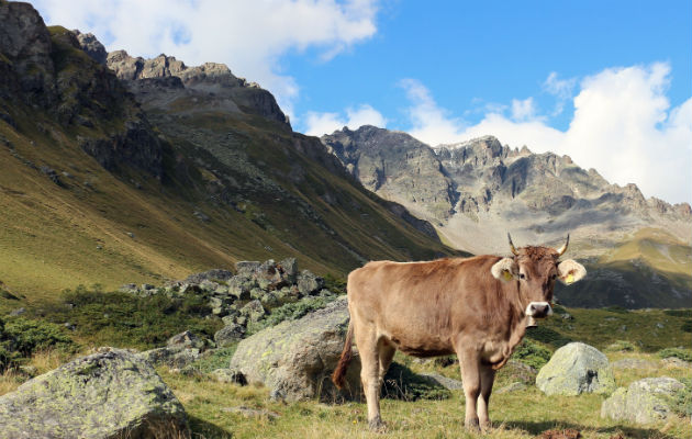 Una encuesta a 250 expertos arqueológicos dio una visión más amplia sobre el uso de la tierra. Los Alpes Italianos. Foto/ Andrea Kay.