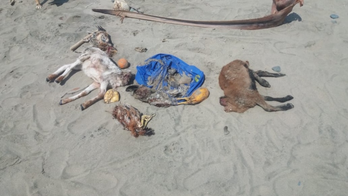 El lugar ha dejado de ser un área de esparcimiento y para bañarse; y ahora lo quieren convertir en un centro para realizar actos de supercherías. Foto/Melquiades Vásquez