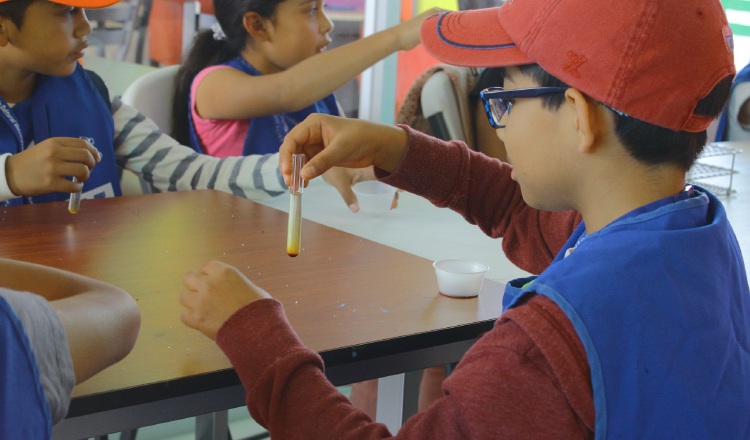 Los interesados podrán recibir cursos para niños y jóvenes de 6 a 17 años. 