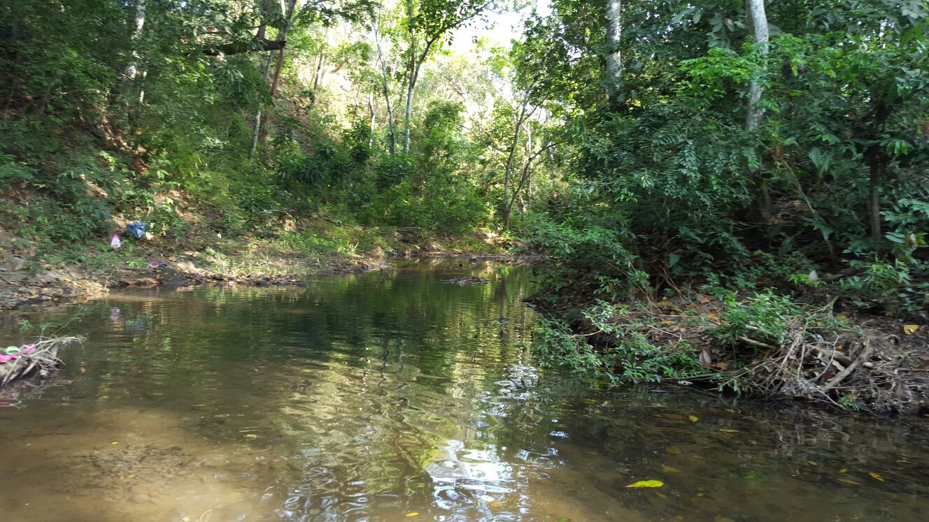 Hombre amarra a una mujer con discapacidad y la lleva a un río para abusar de ella. Foto: Panamá América.