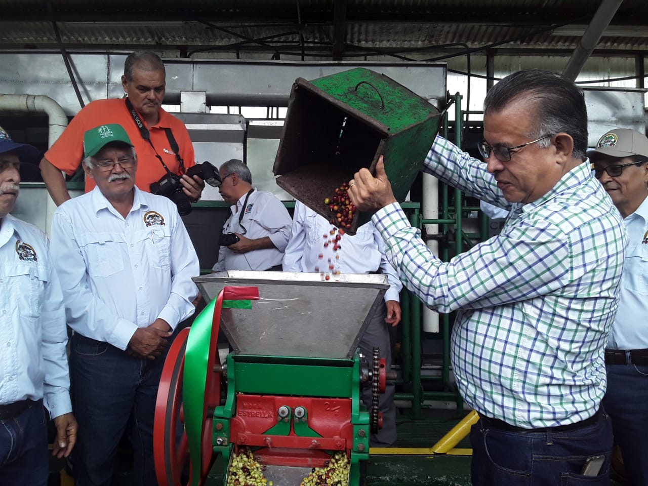 En esta zafra de café  participan un total de 900 productores.