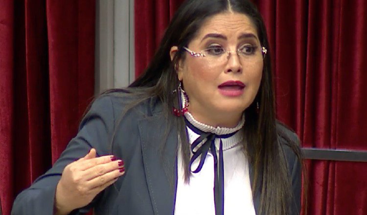 La diputada Zulay Rodríguez hizo la denuncia en el Pleno. Foto de cortesía